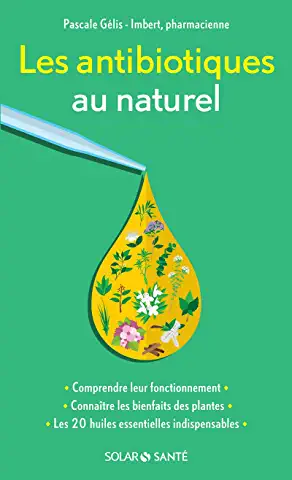 Des plantes médicinales puissantes pour une santé au top