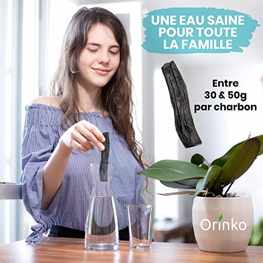 Charbon Actif Binchotan pour Purifier l'Eau du Robinet - Carafe