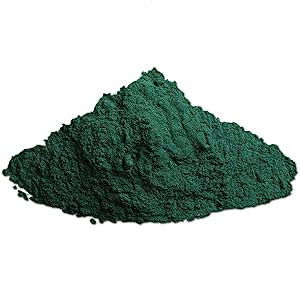 La spiruline, le complément alimentaire du futur ?